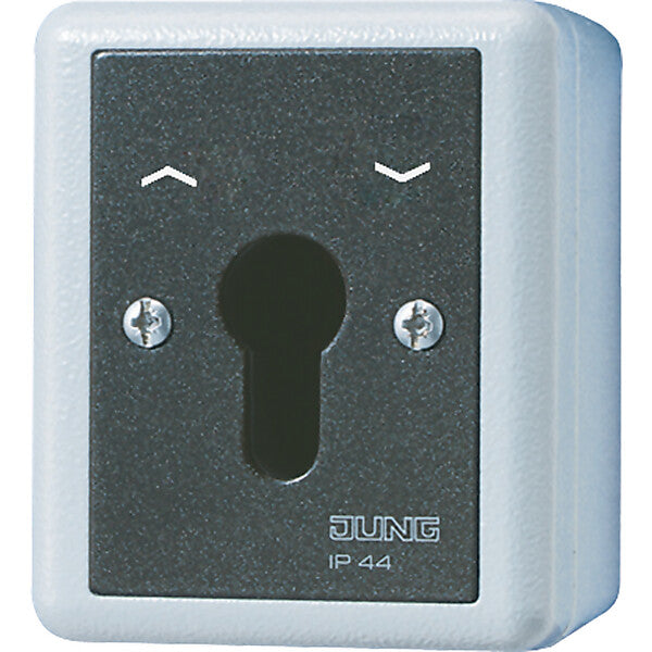 JUNG Schlüsselschalter 10AX 250V 2-pol. 804.28 G